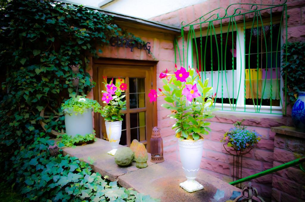 Haus Helvetia Bed and Breakfast Bad Orb Eksteriør billede
